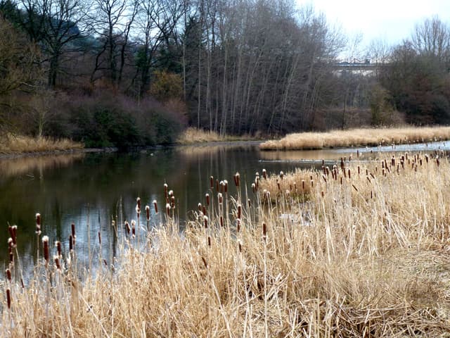 Ruhrtal bei Bestwig