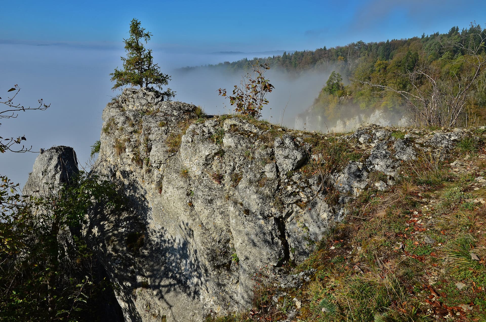 Naturpark Obere Donau, Blick über das nebelverhangene Donautal