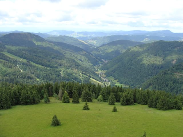 2012 Schwarzwald 108 Oberes Wiesental