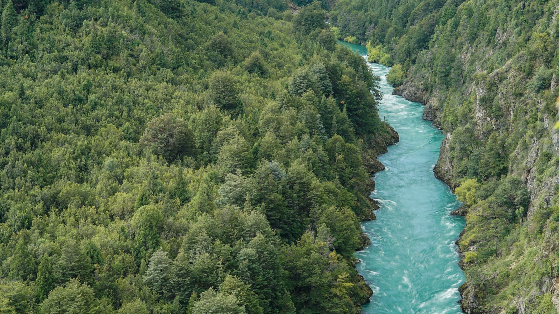 Futaleufu River in Reserva nacional Futaleufú