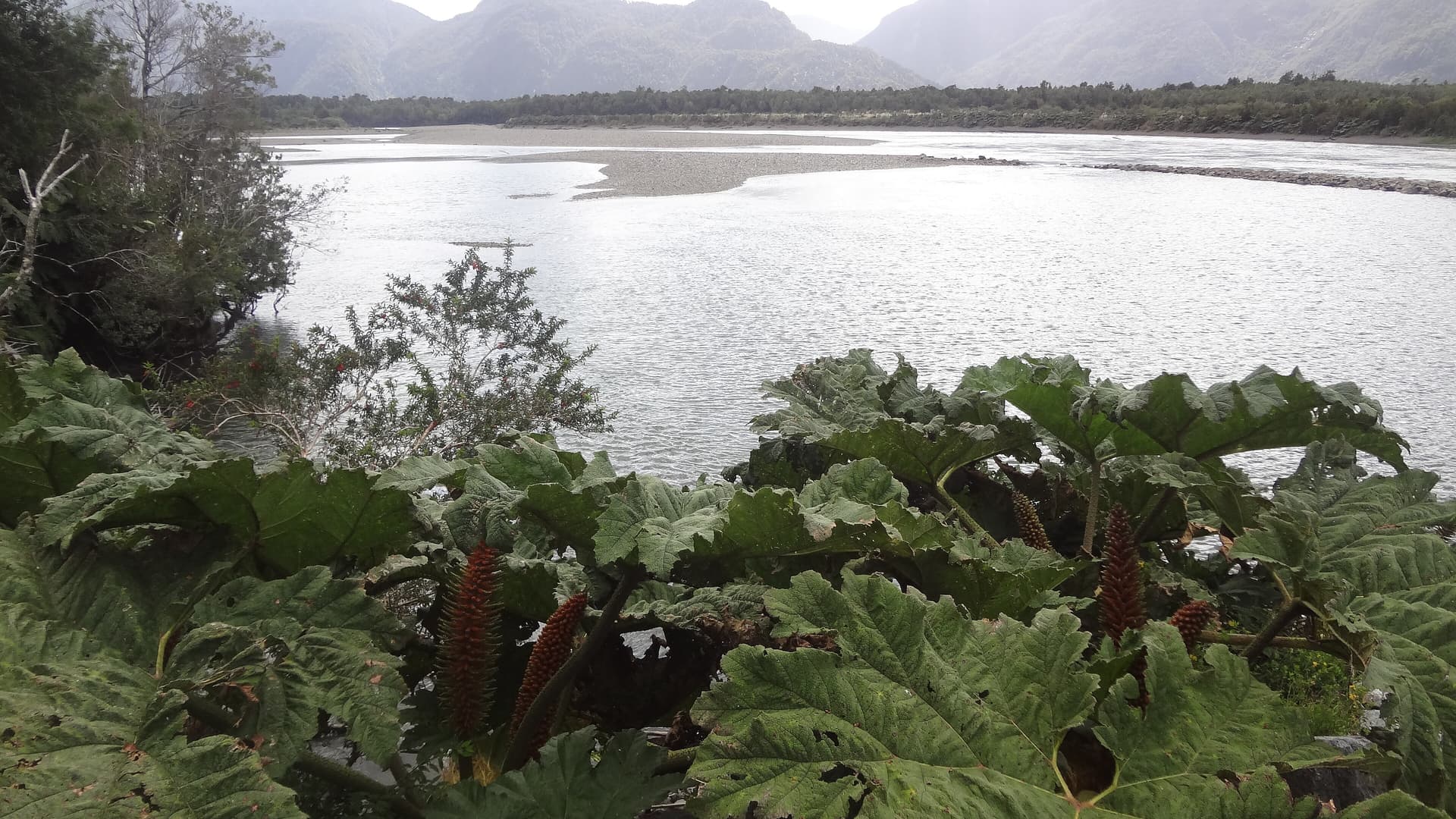 Rio Palena 2
