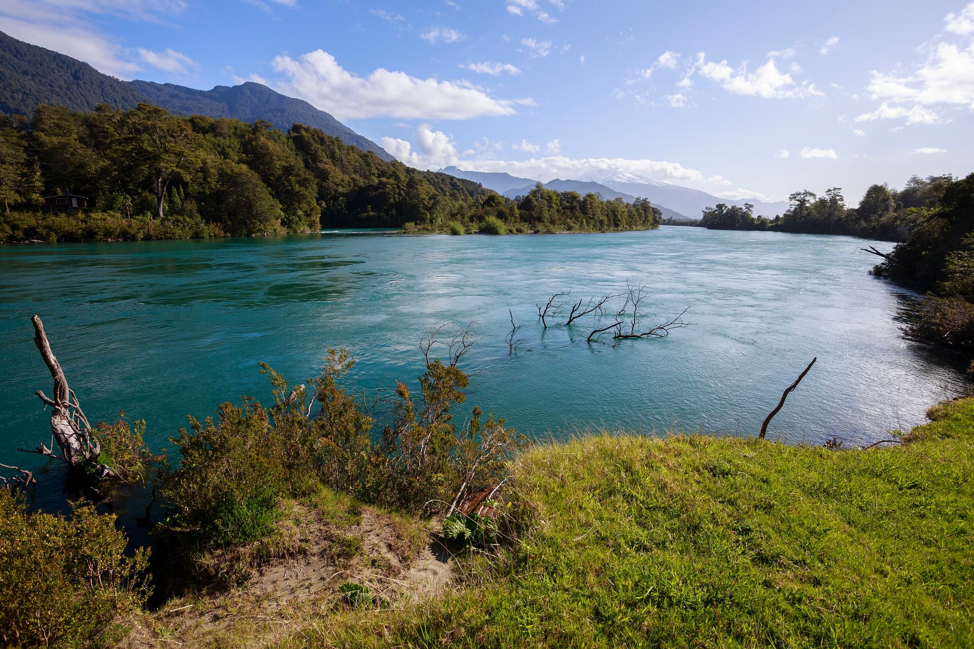 Río puelo
