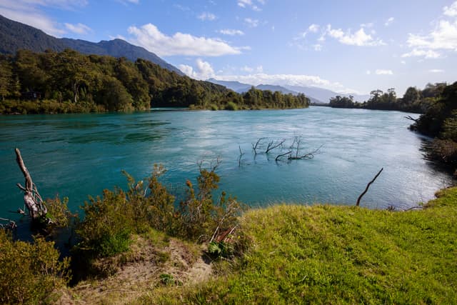 Río puelo