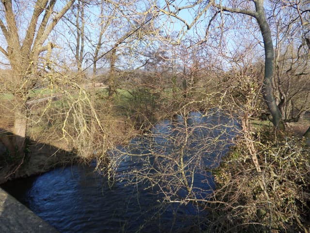 The Afon Clwyd at Trefnant, between St Asaph and Denbigh.