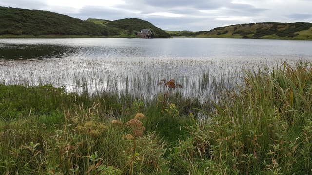 Wide view across Coldingham Loch, a spring-fed trout fly fishery in the Scottish Borders near St Abbs.