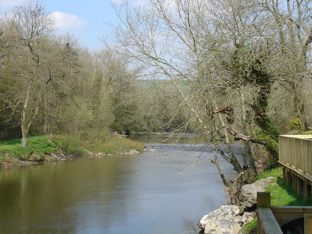 The River Cothi at Pont-ar-gothi in spring, a broad calm glide with wooded banks and the old bridge behind.