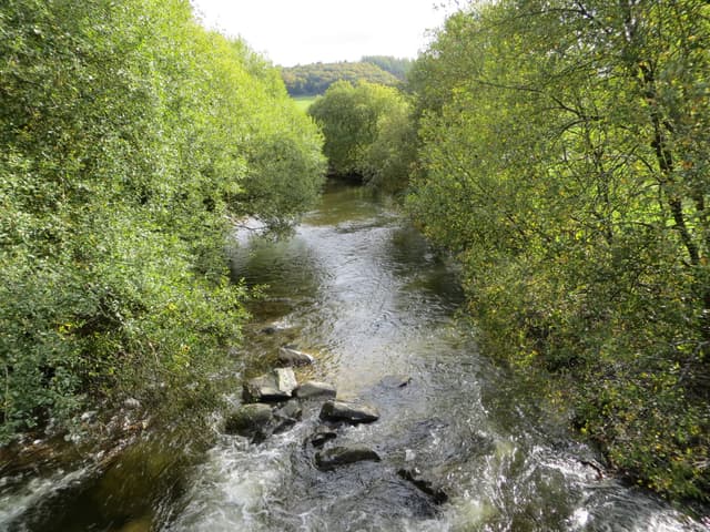 The Afon Cothi viewed from Pont Prenllwyd in October, autumnal wooded valley and fast-flowing water over boulders.