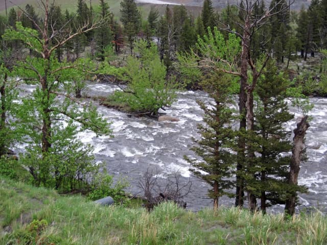 Stillwater River — Stillwater River (near the Stillwater Mine, Beartooth Mountains, Montana, USA) 1