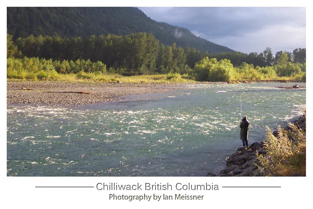 Vedder / Chilliwack River — Vedder River Fisher