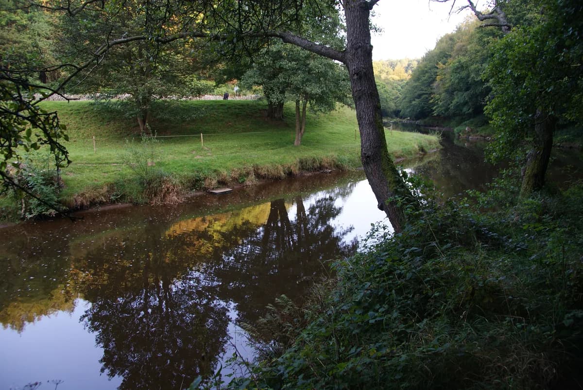 The River Esk flowing through a wooded valley below Glaisdale on the North Yorkshire Moors