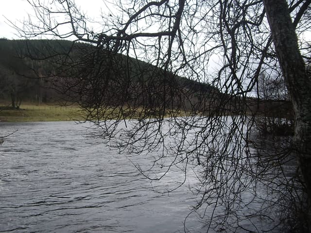 The River Dee at Ballater, Aberdeenshire, with clear water over a gravel bed and wooded banks.