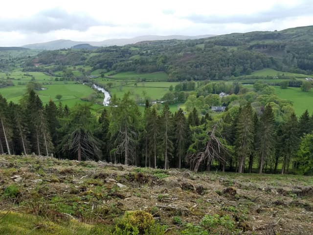 Elevated valley view over the River Dee and Crogen estate woodland near Llandderfel.