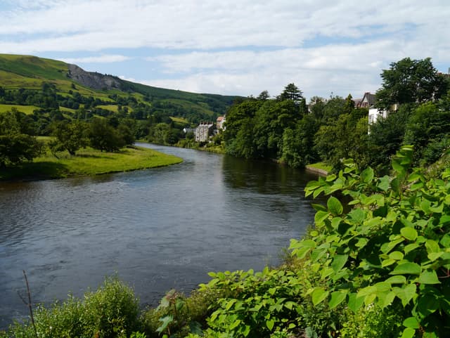 The River Dee at Carrog showing flowing water and wooded valley banks on a summer day.