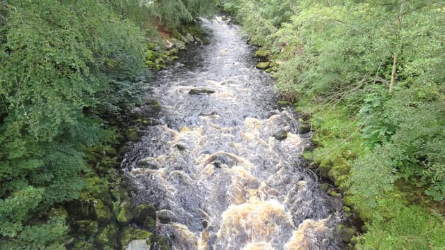 The River Deveron viewed upstream from Huntly Castle Bridge, a wide glide of river framed by riparian woodland.