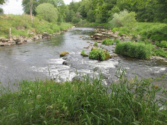 The confluence of the River Deveron and River Bogie at Huntly, the two rivers meeting in a wooded valley.