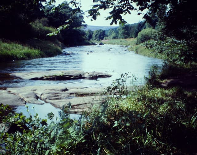 The River Don running through wooded bankside at Paradise Wood near Monymusk, Aberdeenshire.