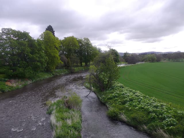 Looking downstream along the River Don from Bridge of Alford, the river channel flanked by bankside vegetation.