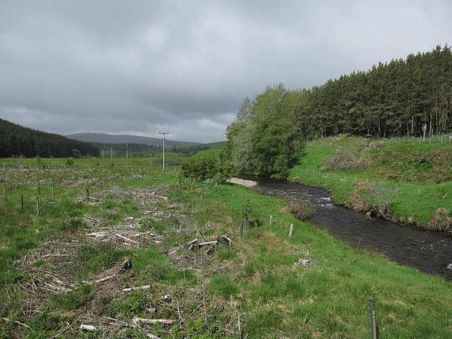 The River Don at Colnabaichin in Strathdon, the upper river running through a wooded valley.