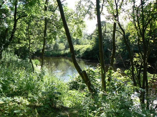 The River Carron in Stirlingshire, near Larbert
