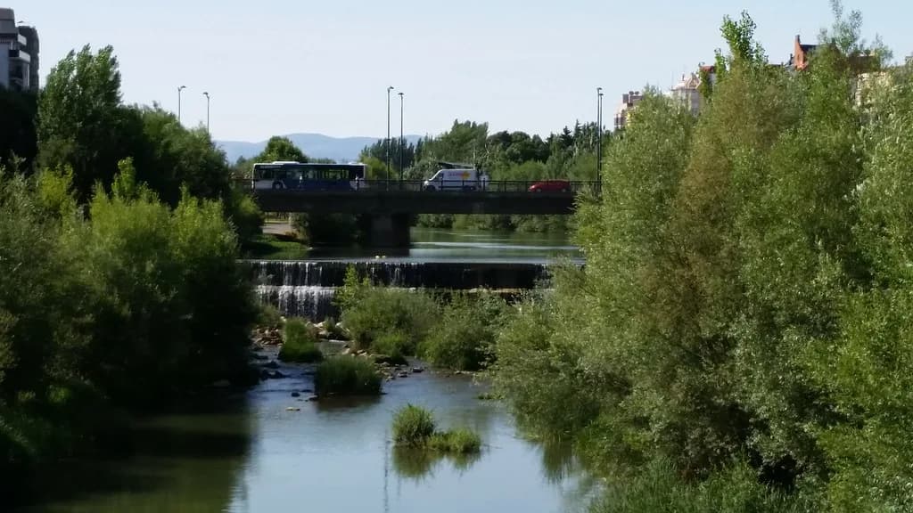 Río Bernesga — Río Bernesga