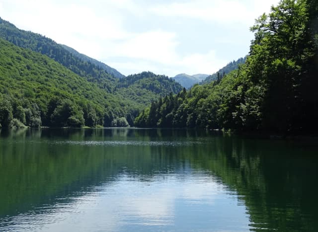 The still, forest-ringed waters of Crno Jezero (Black Lake) in Durmitor National Park, Montenegro, with mountains behind.