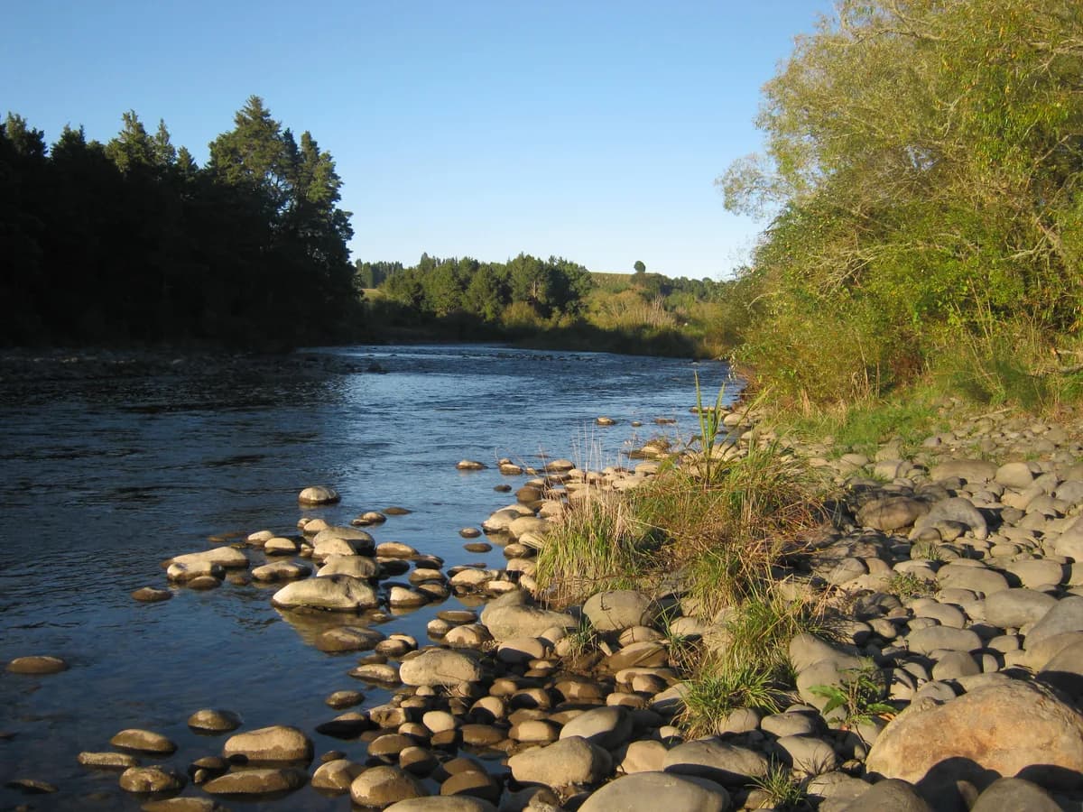 Whakapapa River — Kakahi03
