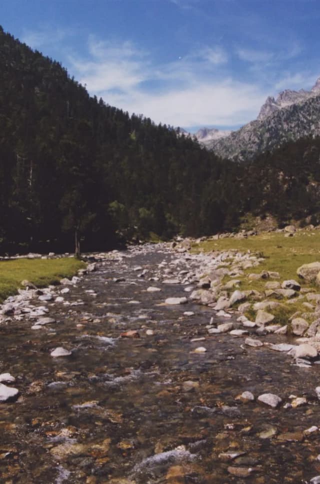 A rocky mountain stream, the Gave du Marcadau, running through a green valley with Pyrenean peaks in the background near Cauterets.