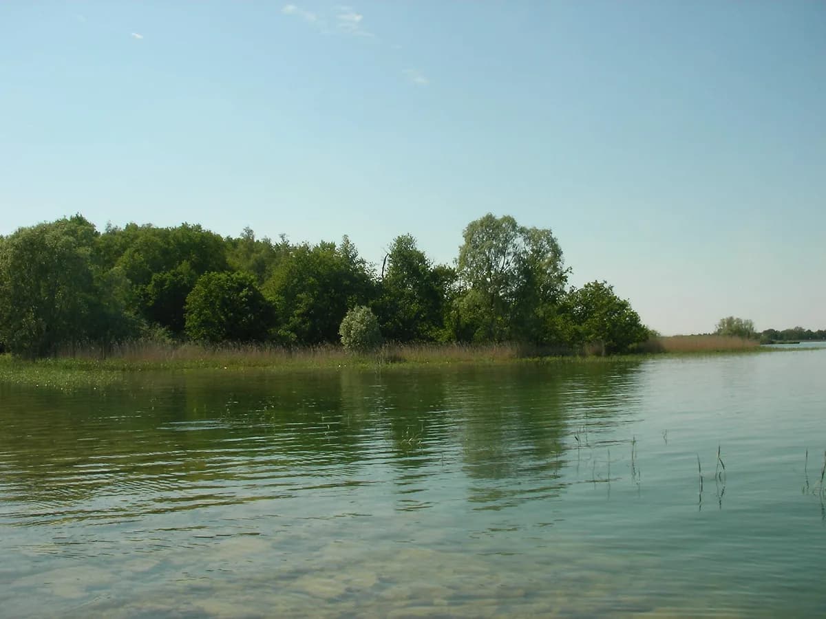 Lac du Der-Chantecoq — Lac du Der-Chantecoq (3)
