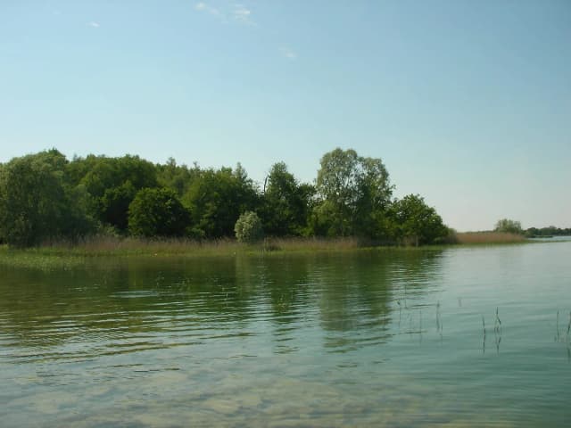 Lac du Der-Chantecoq — Lac du Der-Chantecoq (3)