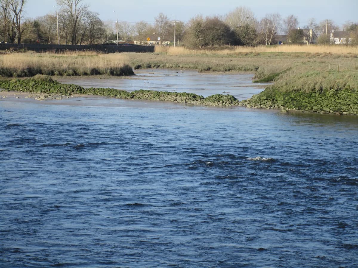 The River Fergus flowing past grassy banks and stone river-improvement works near Clarecastle, County Clare, Ireland