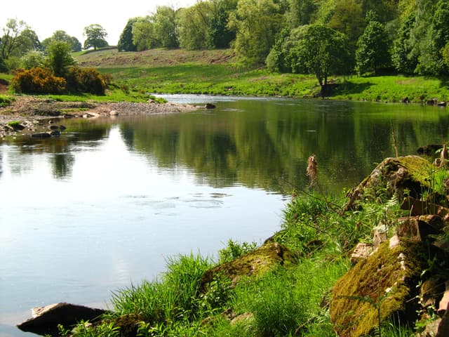 The River Eden in May near Kirkoswald, a wide channel flanked by spring-green vegetation.