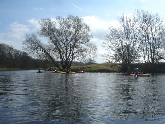 A placid wide reach of the River Eden through floodplain fields between Lazonby and Armathwaite near Kirkoswald.