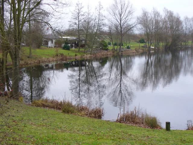 Small tree-fringed lake at Halliford Mere with a waterside restaurant and still reflections