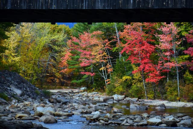 Saco River — Conway — Saco River / New Hampshire