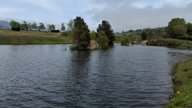 Windy day at El Arenero small trout fishery
