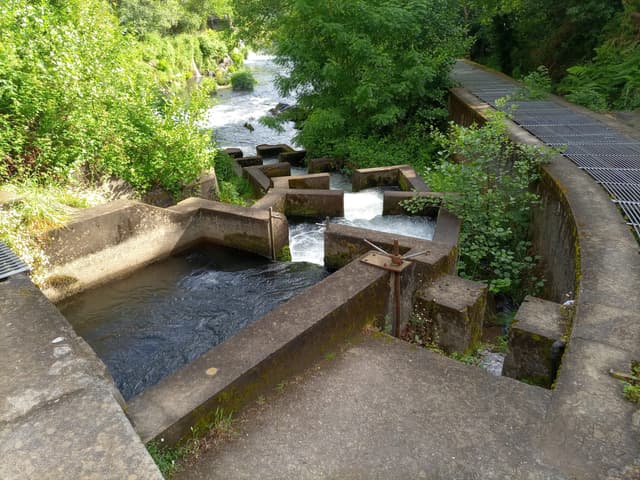 The salmon ladder at the Pé da Viña dam on the Río Eo near Trabada, Galicia.
