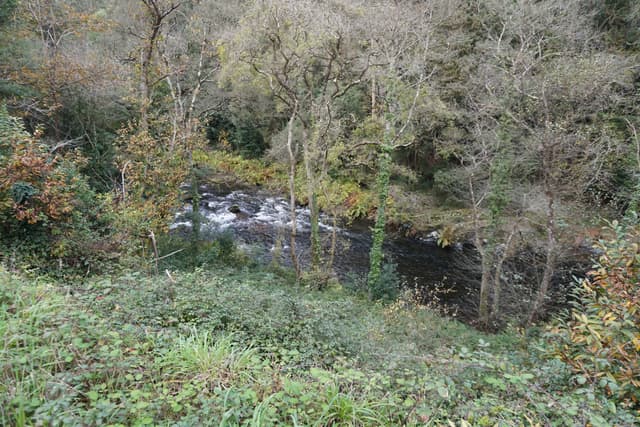 The Río Eo viewed from the Vía Verde greenway on the Galicia–Asturias border.