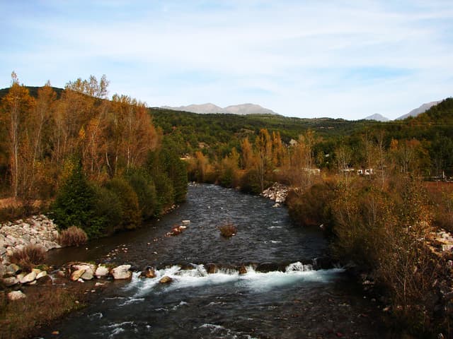 El Flamisell