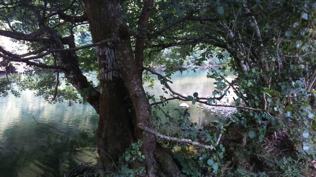 Río Irati