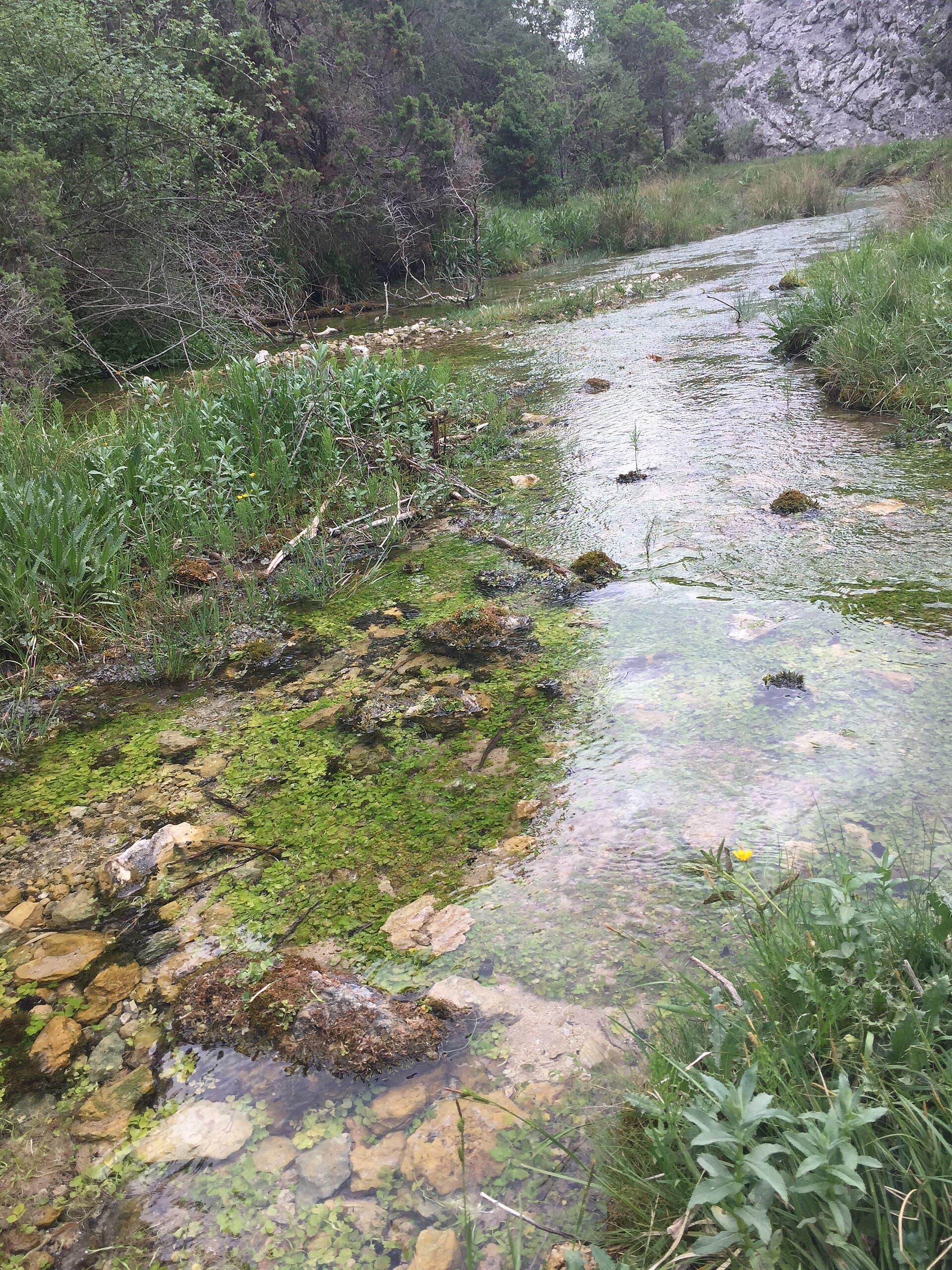 Nacimiento del Júcar