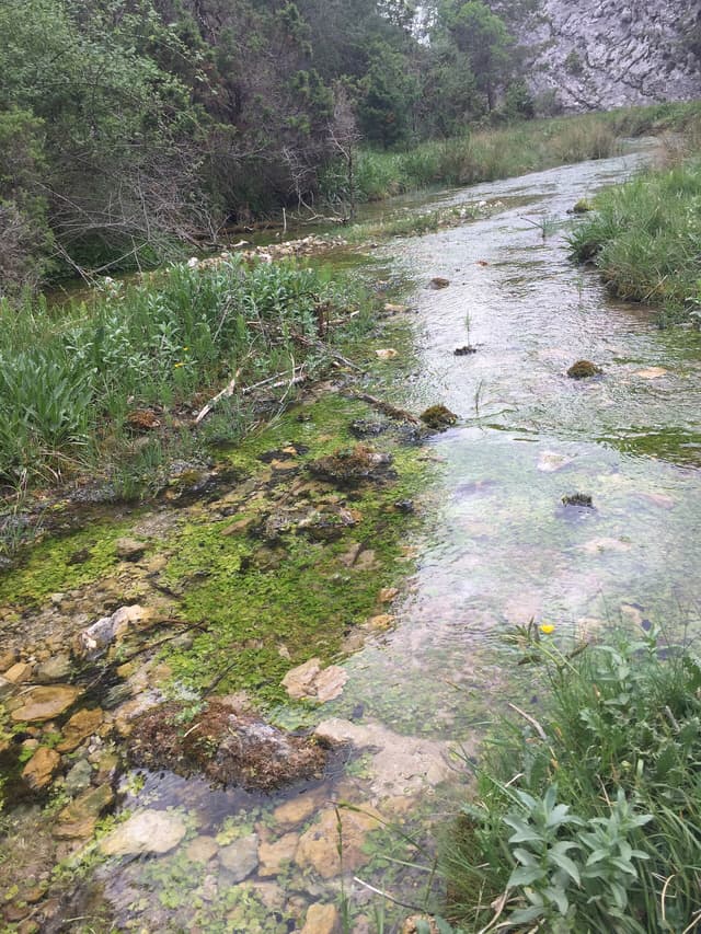 Nacimiento del Júcar