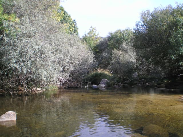 Pedriza-Manzanares-1