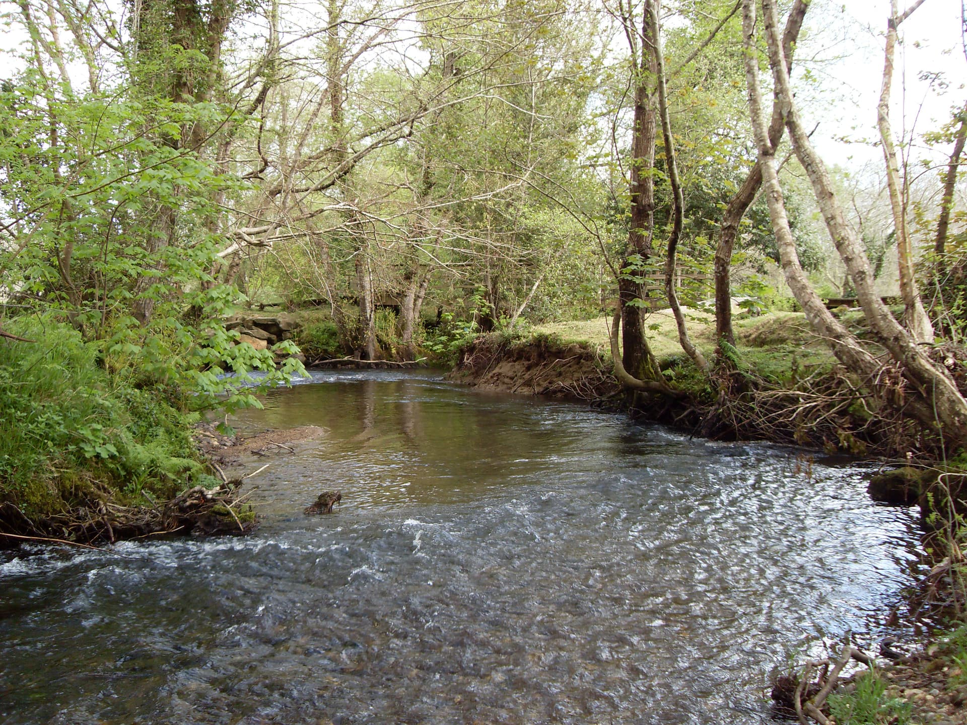 Río Mera