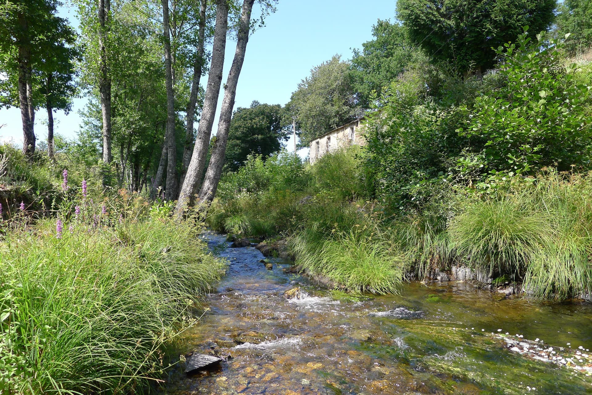Río - Os Mazos - Neira de Rei - Baralla - panoramio