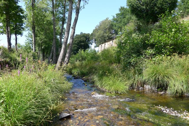 Río - Os Mazos - Neira de Rei - Baralla - panoramio
