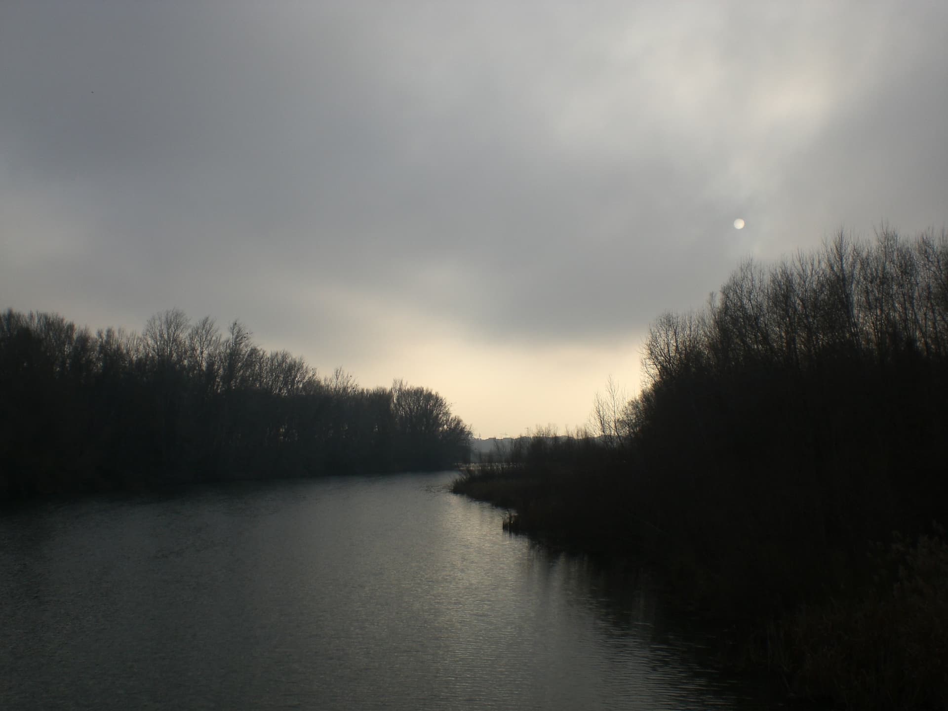 Riu Segre a la Mitjana, Lleida (gener 2009) - panoramio