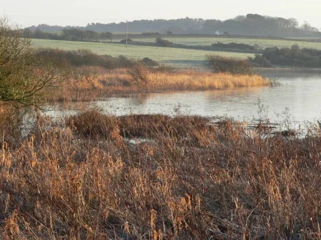 Llyn Coron on a frosty morning, near Llangadwaladr, Anglesey