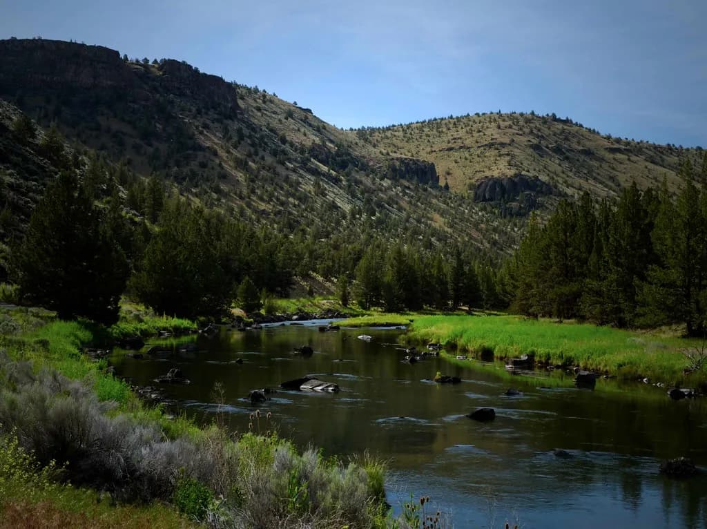 A rocky stretch of the Crooked River in central Oregon, framed by pine trees and desert canyon walls.