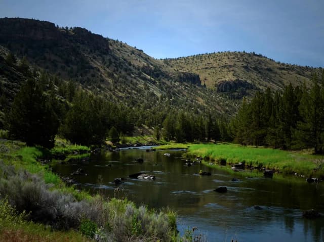 A rocky stretch of the Crooked River in central Oregon, framed by pine trees and desert canyon walls.
