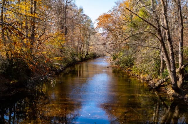 A calm, tree-lined stretch of the Davidson River reflecting autumn foliage in Pisgah National Forest, North Carolina.